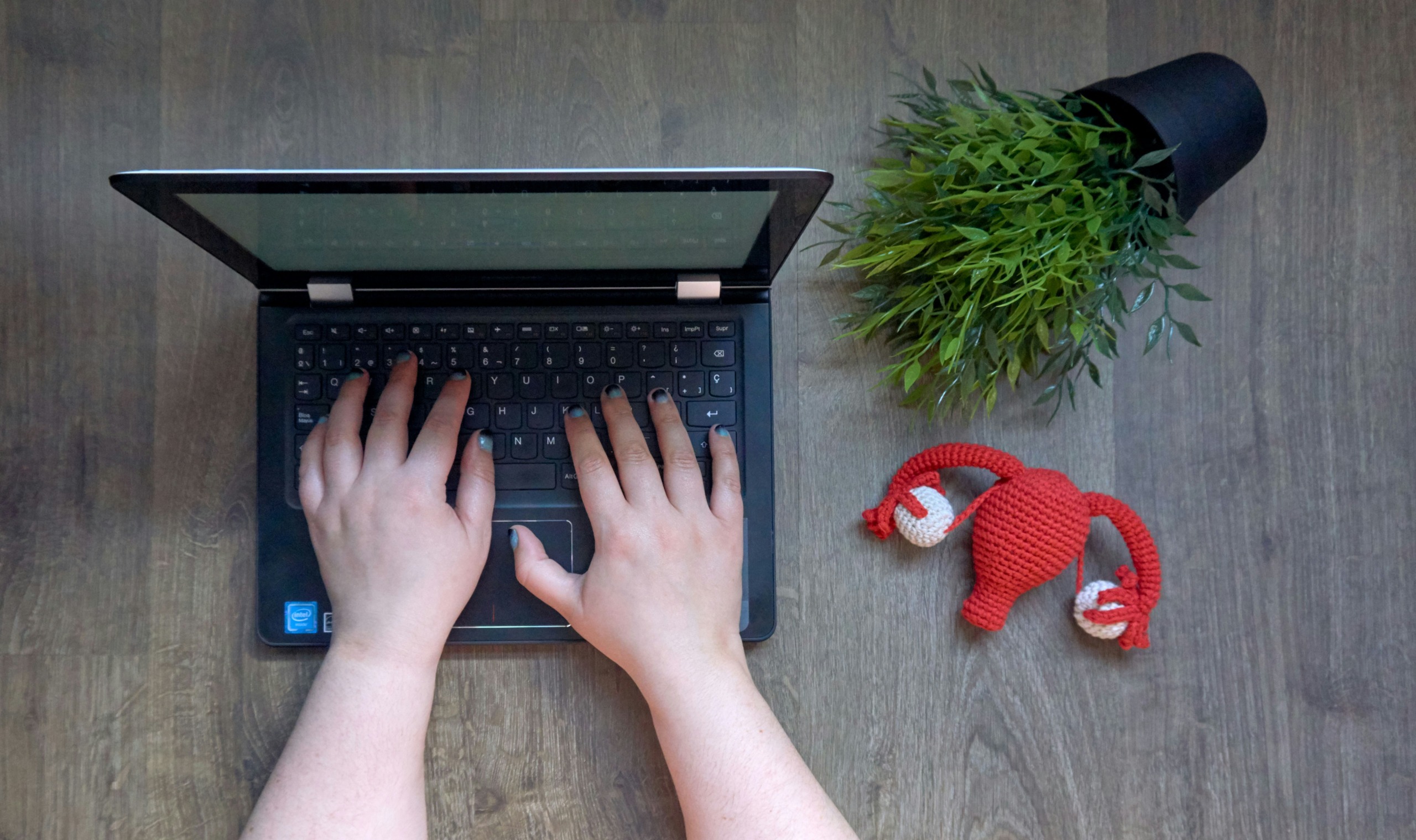 hands on a laptop keyboard next to a model of an enlarged uterus